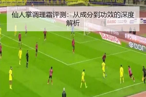 仙人掌调理霜评测：从成分到功效的深度解析