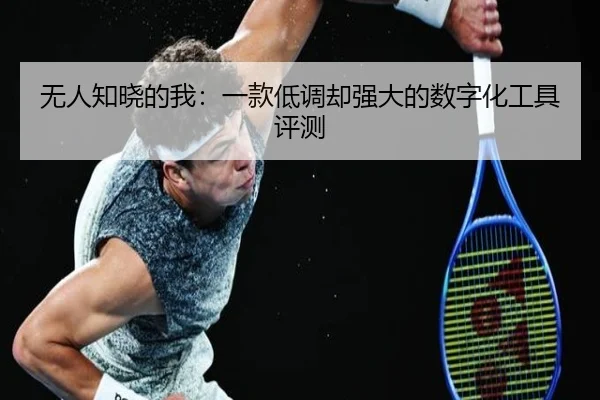 无人知晓的我：一款低调却强大的数字化工具评测