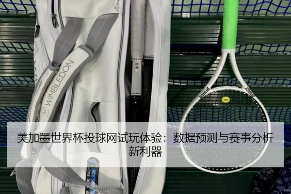 美加墨世界杯投球网试玩体验：数据预测与赛事分析新利器